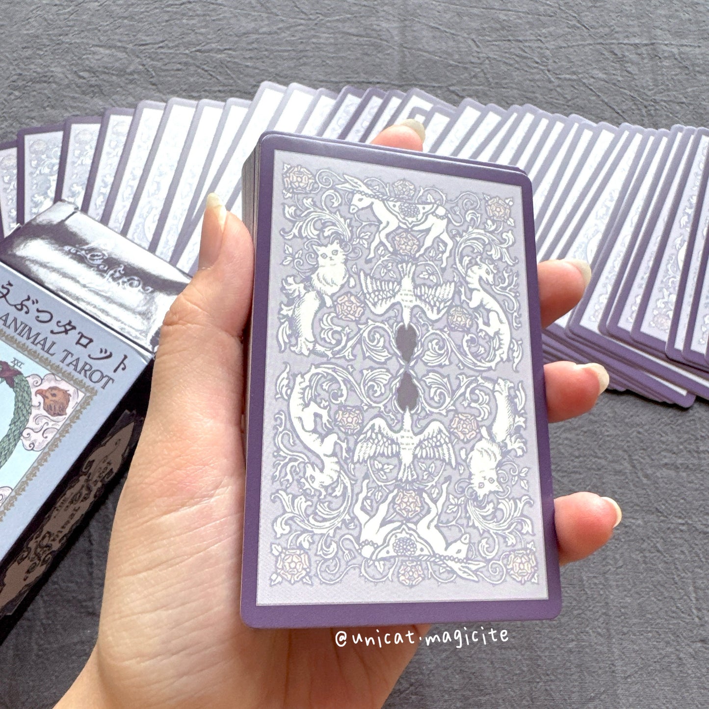 The Animal Tarot - Pocket size