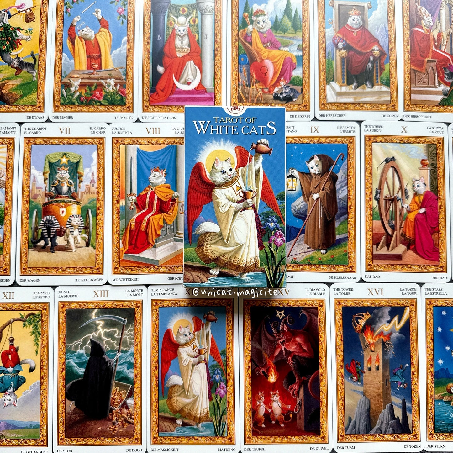 Tarot of White Cats