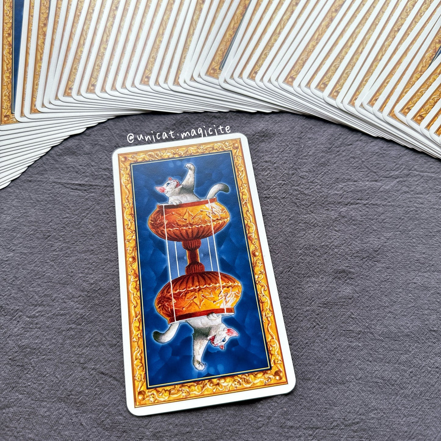 Tarot of White Cats