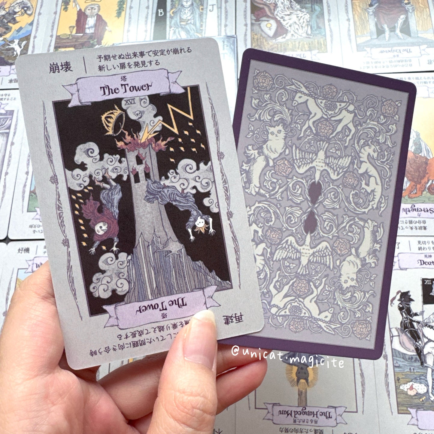 The Animal Tarot - Pocket size