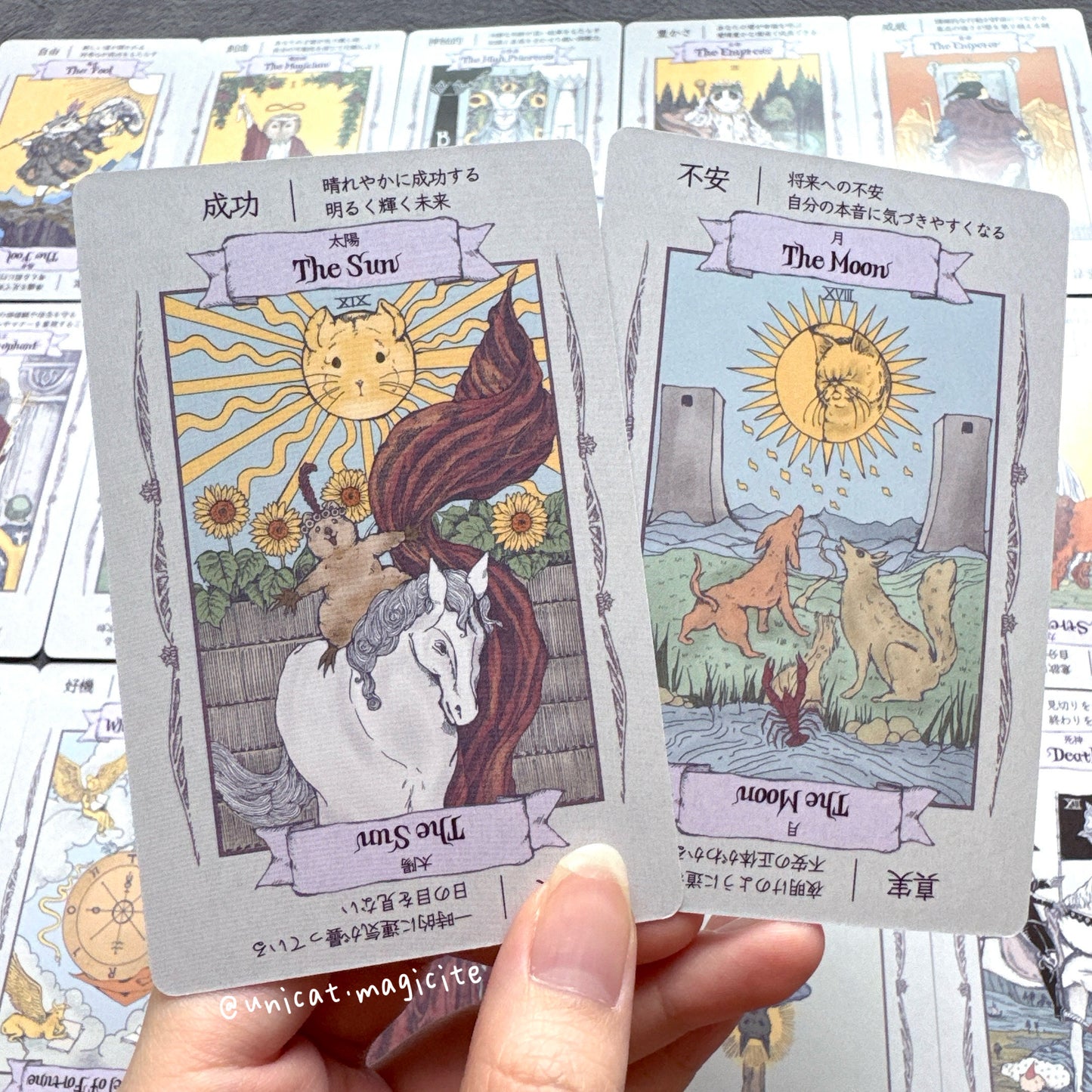 The Animal Tarot - Pocket size