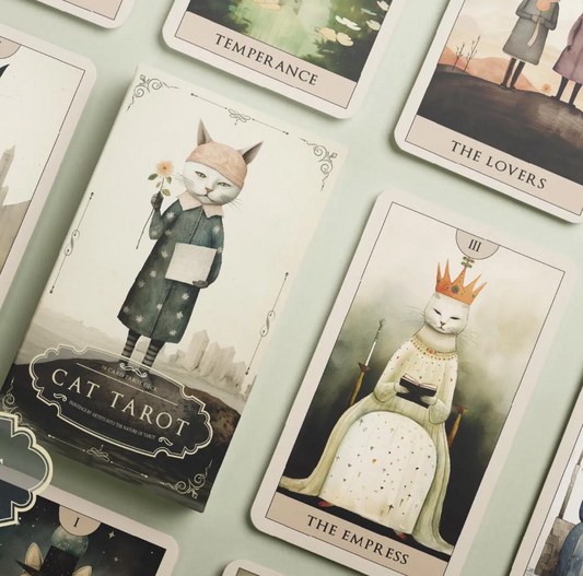 [Pre-Order] 🐈Cat Tarot Deck