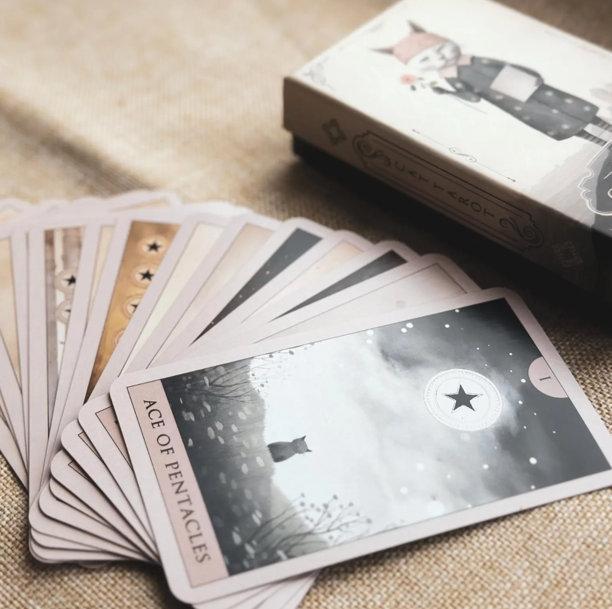[Pre-Order] 🐈Cat Tarot Deck