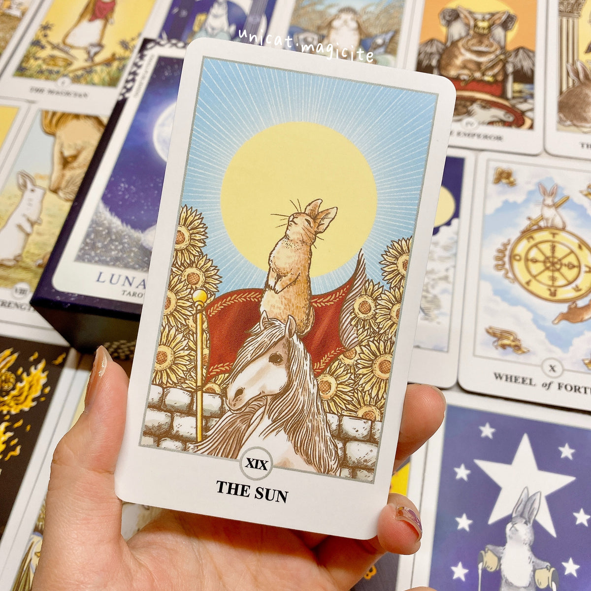 [Pre-Order] Lunalapin Rabbit Tarot - (Sliver Edge/ 100 Tarot & Oracle ...